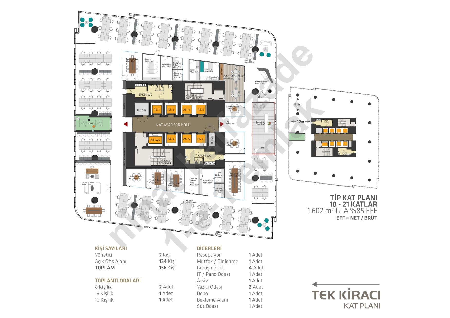 Single Tenant Layout